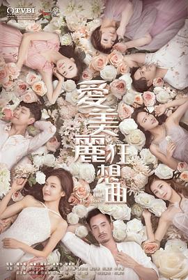爱美丽狂想曲粤语第08集