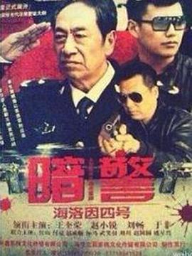 暗警第3集