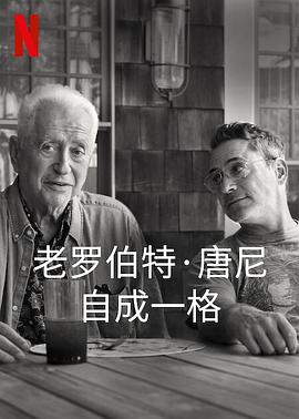 罗伯特·唐尼：自成一格HD中字
