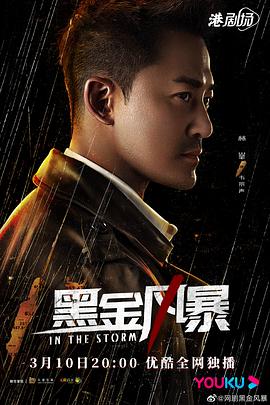 黑金风暴国语第08集
