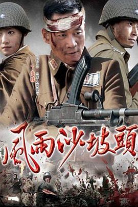 风雨沙坡头第06集