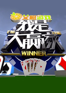 我是大赢家201620161120期