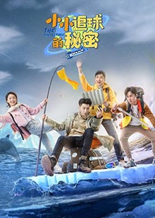 小小追球的秘密第08集