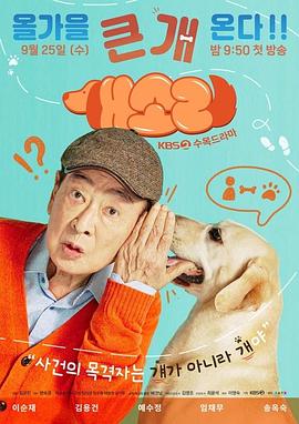 狗话第12集(大结局)