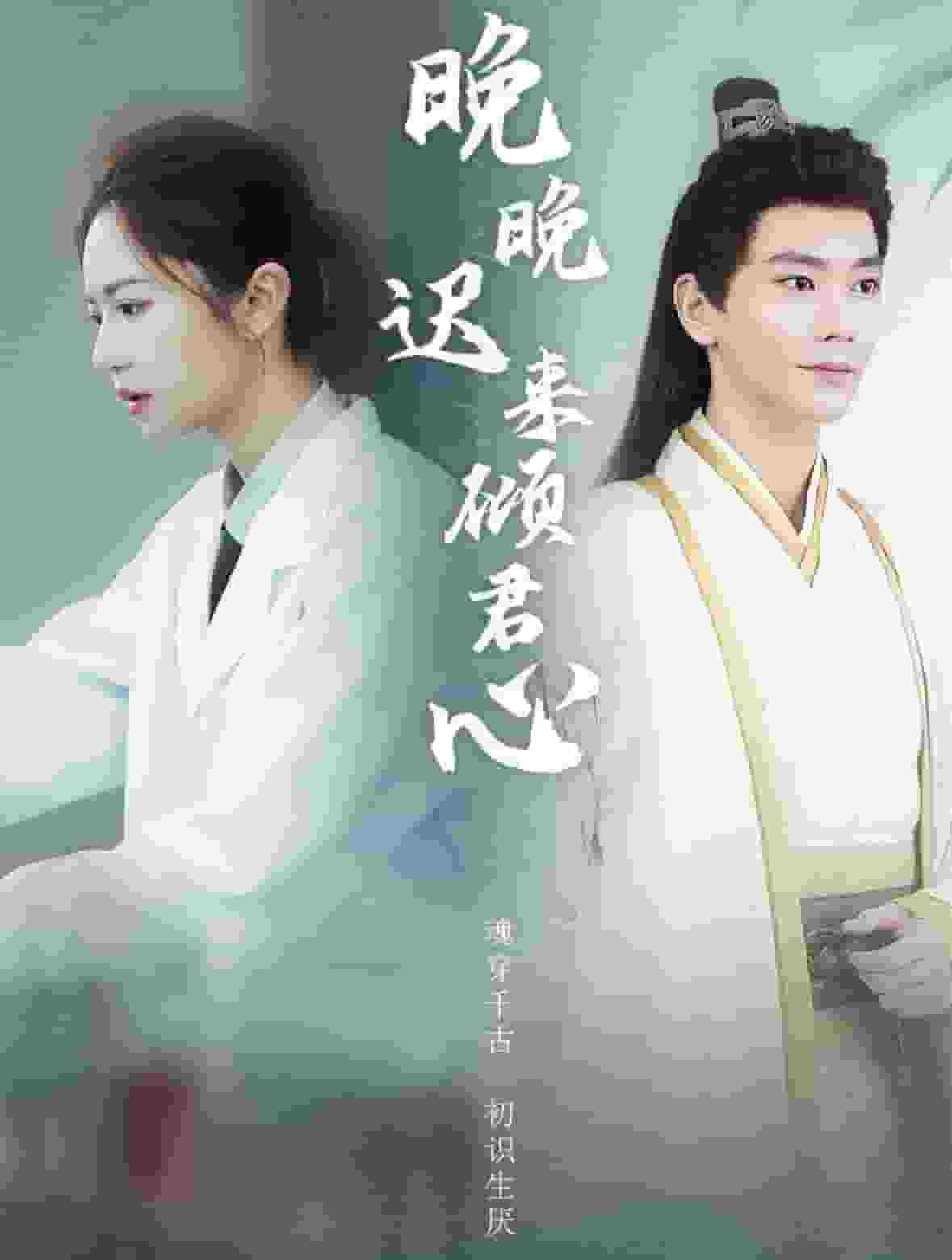 晚晚迟来倾君心第21集
