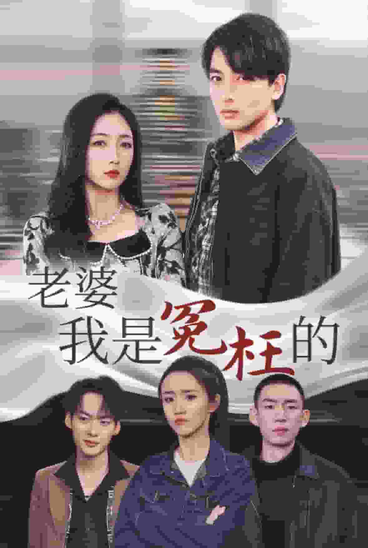老婆我是冤枉的第01集