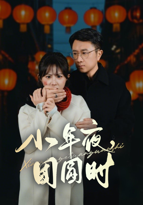 小年夜万家灯火没有我第33集