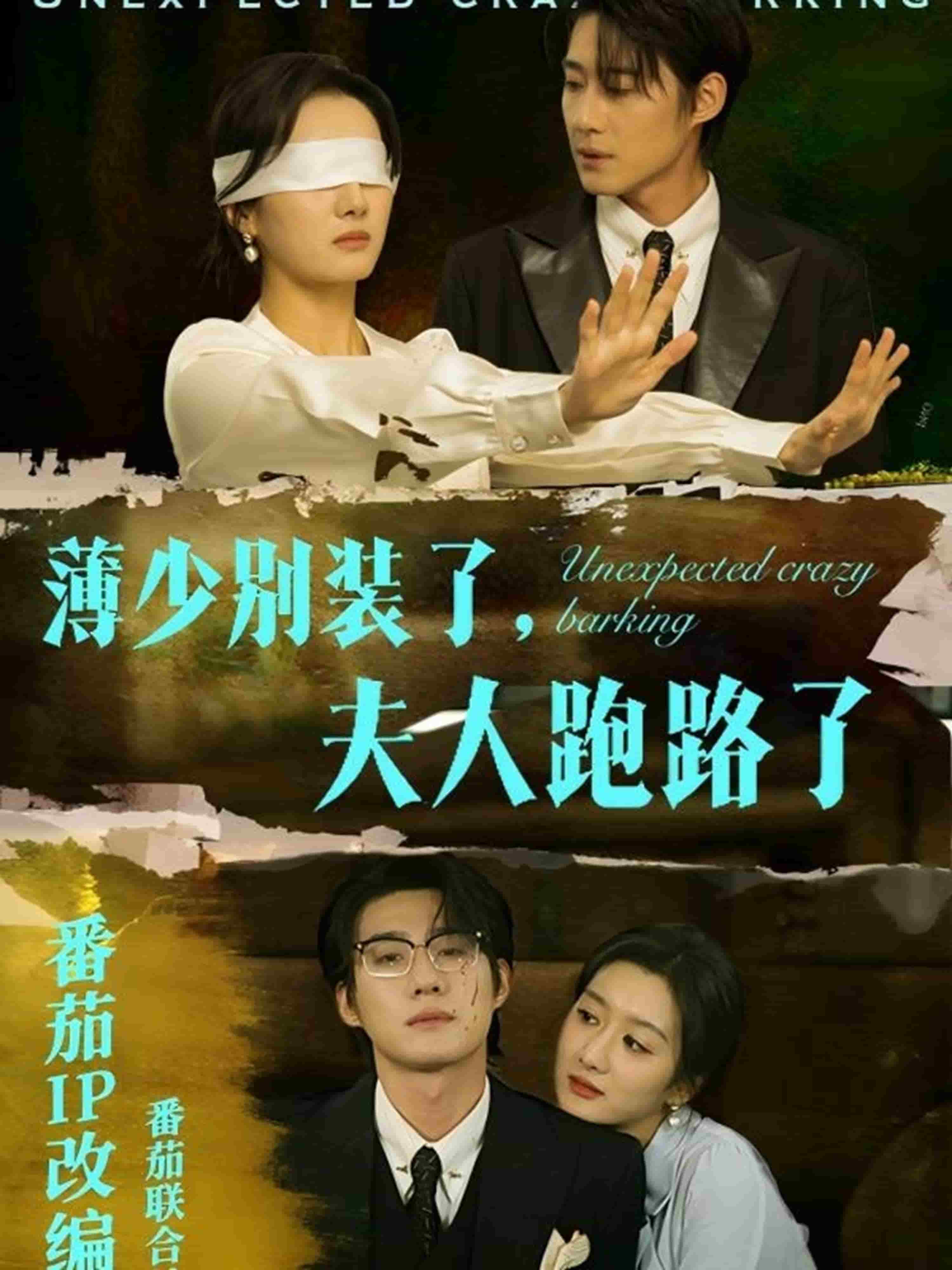 薄少别装了夫人跑路了第2集