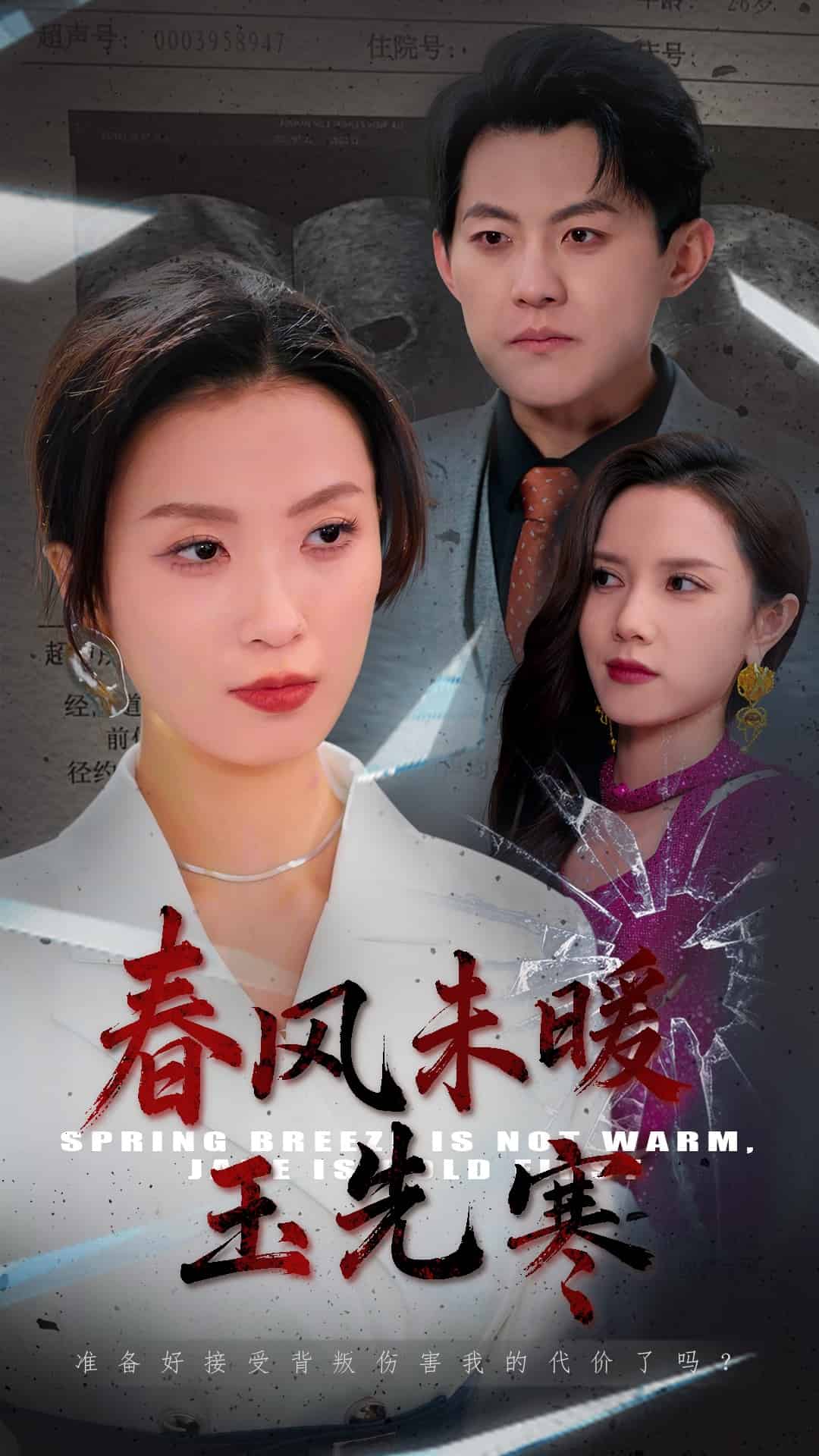 春风未暖玉先寒第1集