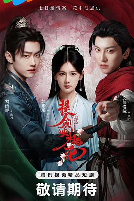 提剑映桃花第08集