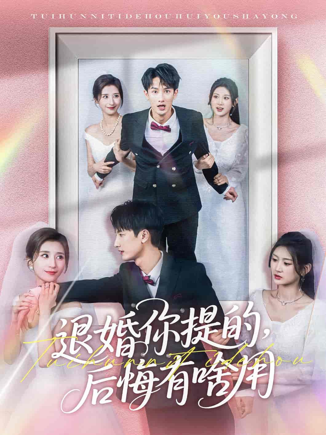 退婚你提的，后悔有啥用第26集