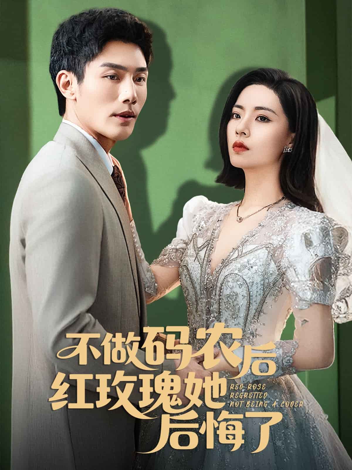 不做码农后红玫瑰她后悔了第1集