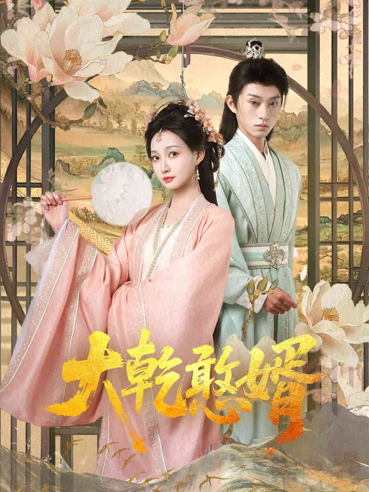 大乾憨婿第13集