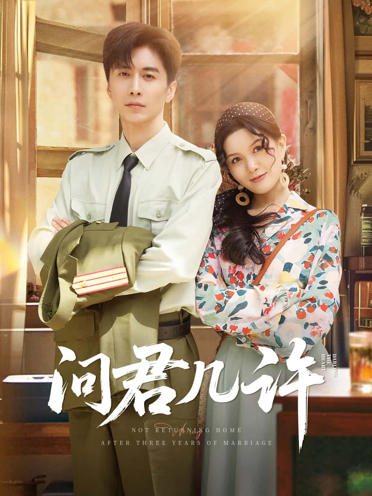 问君几许第12集