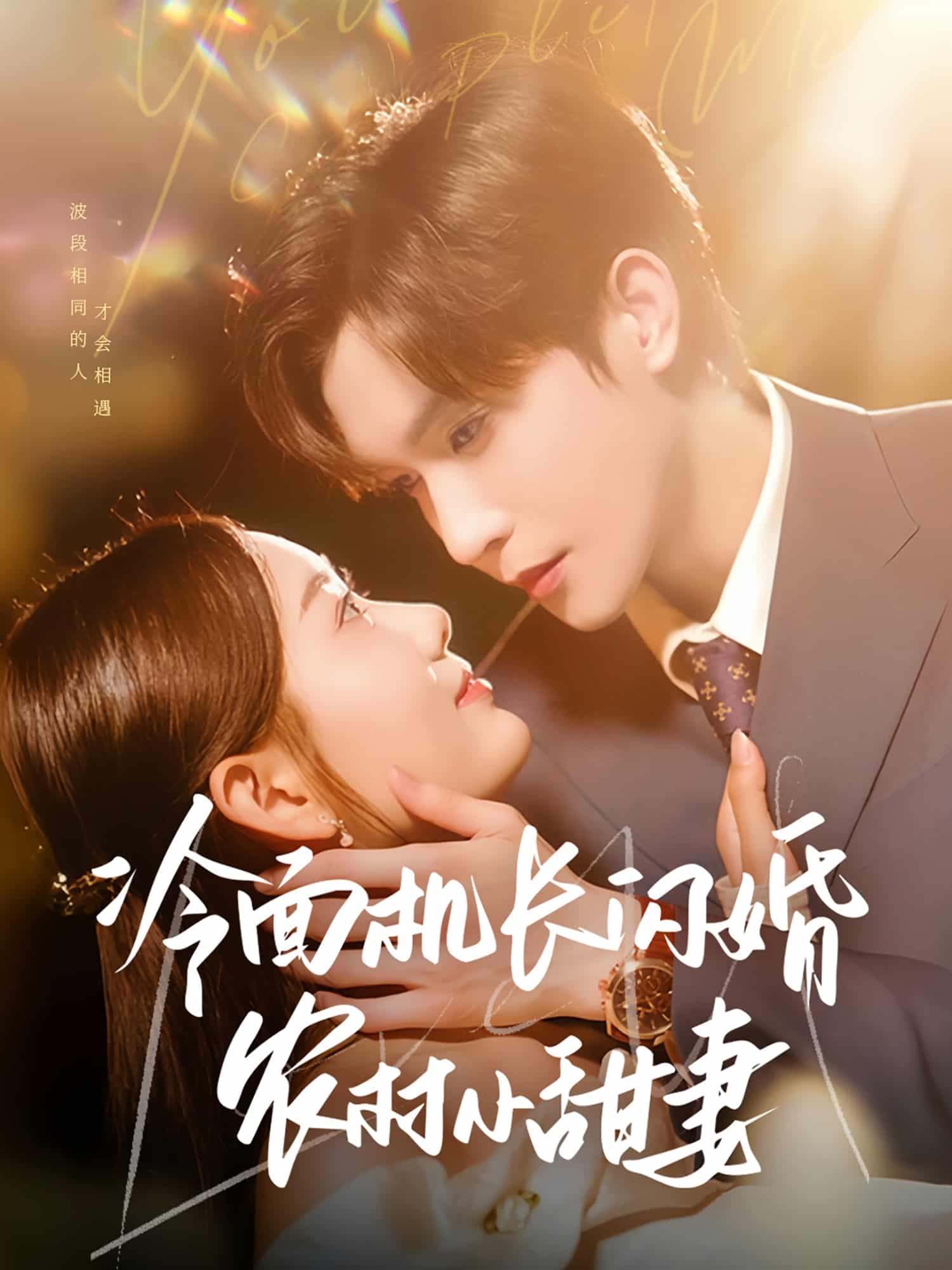 冷面机长闪婚农村小甜妻第63集