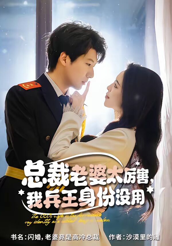 总裁老婆太厉害，我兵王身份没用第43集