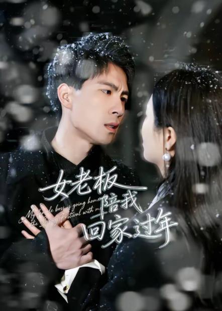 女老板陪我回家过年第01集