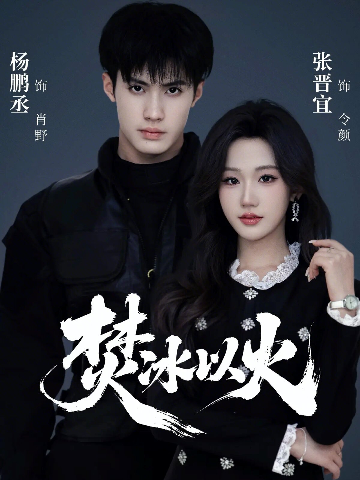焚冰以火第29集